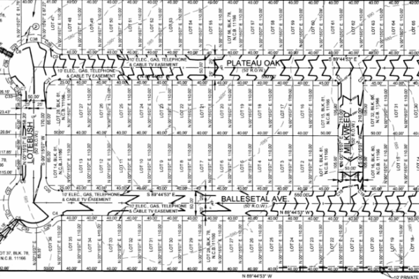 Pleasanton South Plat 2
